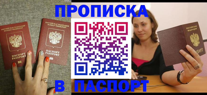 прописка паспорт в Бабаево